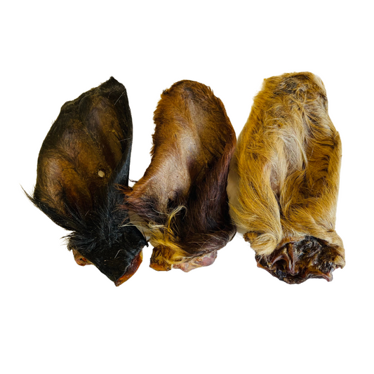 Hairy Cow Ears 1pc