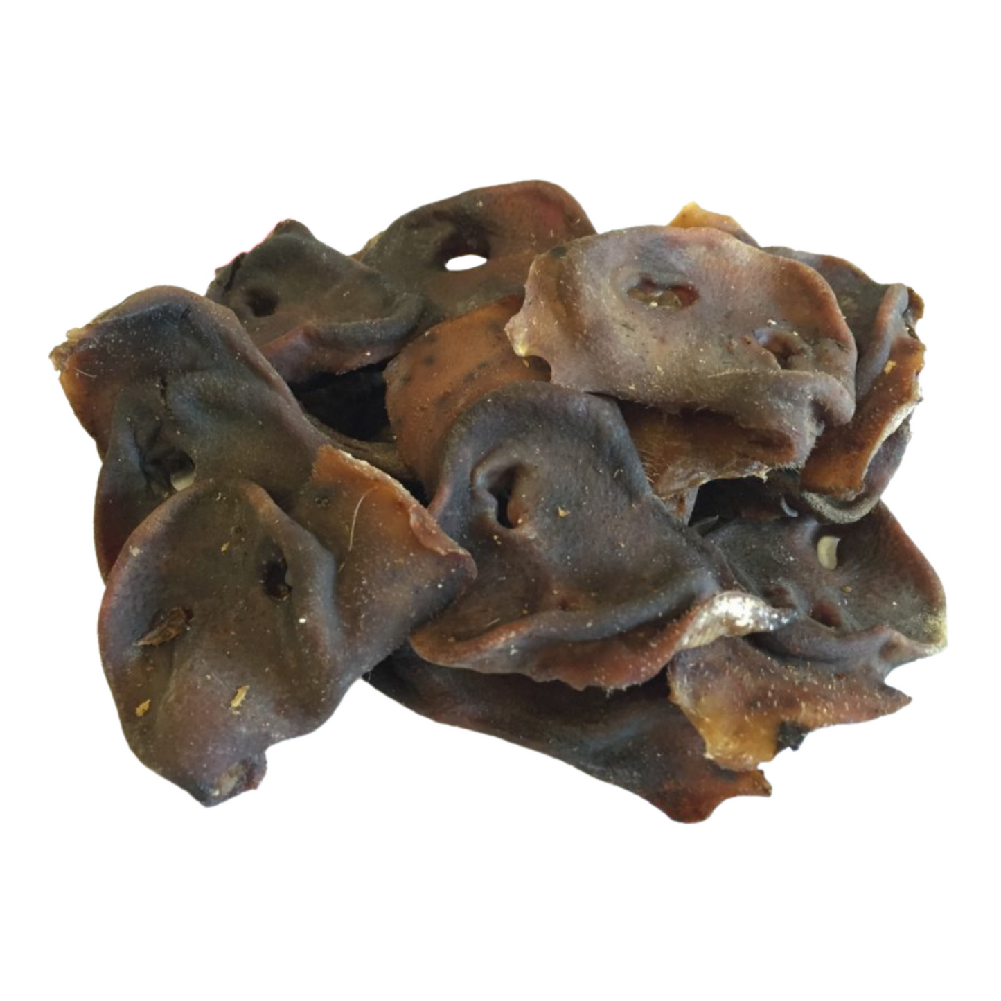 Pig Snouts - Natural 1pc