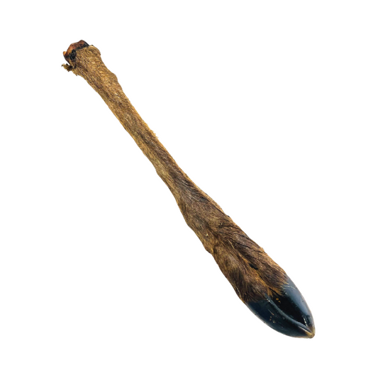 Large Venison Legs - Hairy