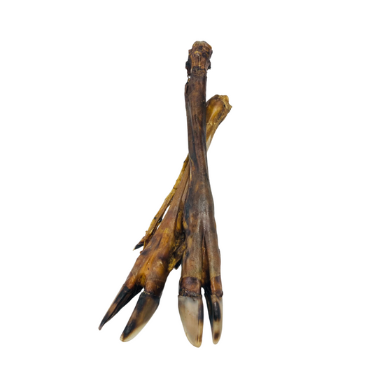 Large Venison Legs 1pc